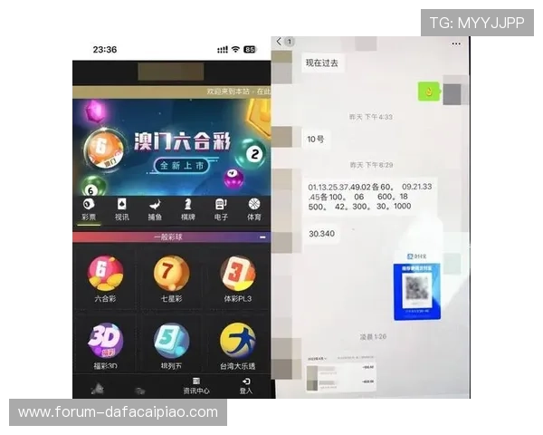 历年六合彩开奖数据分析与走势规律全面总结报告