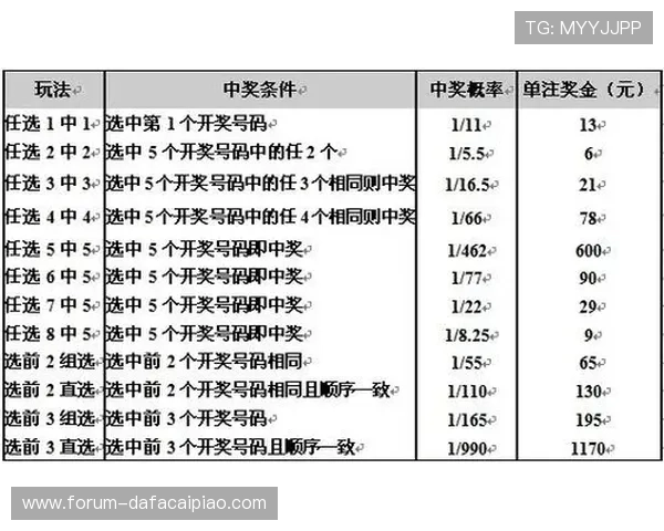 十一选五投注技巧全解析提升中奖概率的科学方法与实战经验
